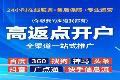 某品牌SEM广告投放效果全解析